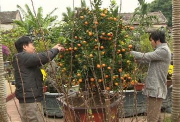 Tuấn Anh ước gì trong năm mới Bính Thân 2016?